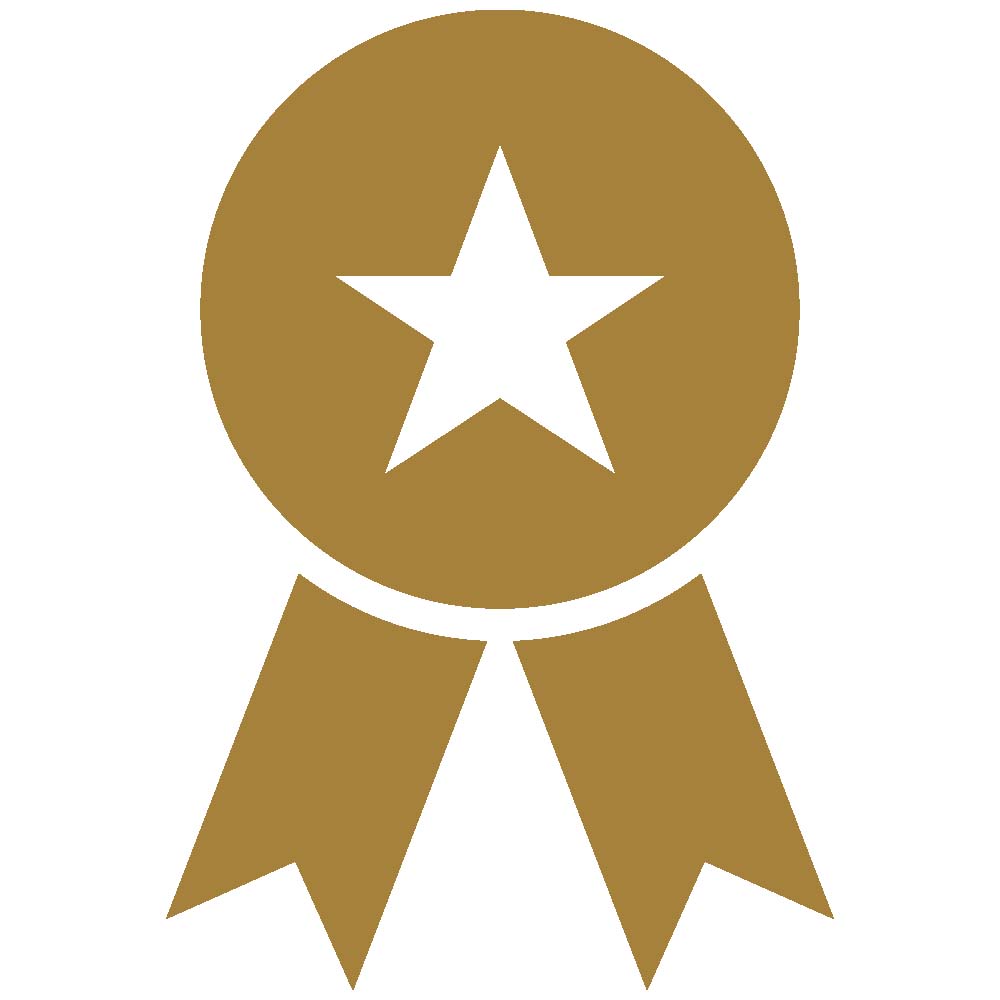 Core Value Icon