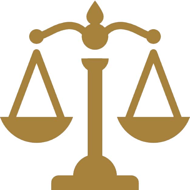 Core Value Icon